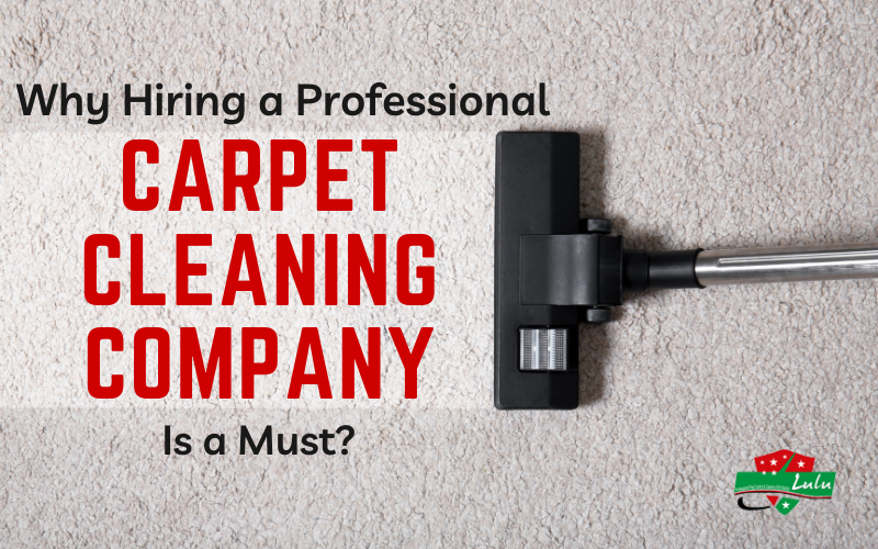 Carpet Cleaning Company