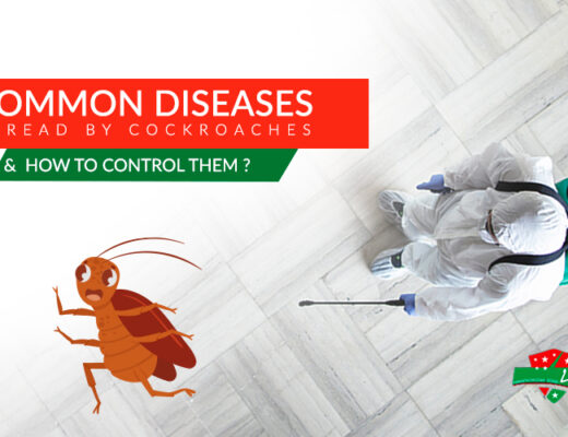 Common Diseases Spread by Cockroaches & How to Control Them?