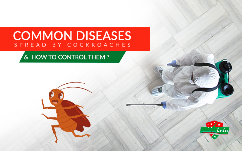 Common Diseases Spread by Cockroaches & How to Control Them?
