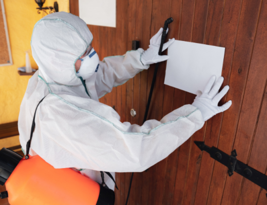 The Importance of Regular Pest Inspections in Dubai’s Hospitality and Food Service Industries