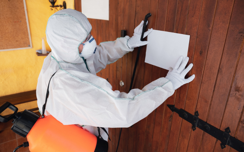 The Importance of Regular Pest Inspections in Dubai’s Hospitality and Food Service Industries