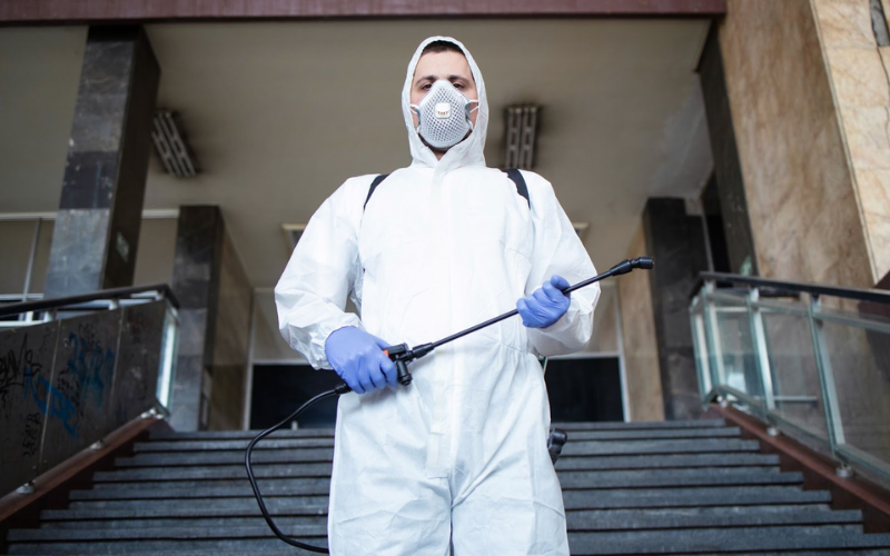 preventing damage of property by pest infestation