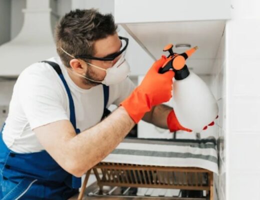 Licensed Pest Control Company in Dubai