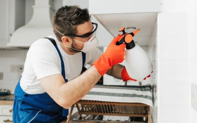 Licensed Pest Control Company in Dubai