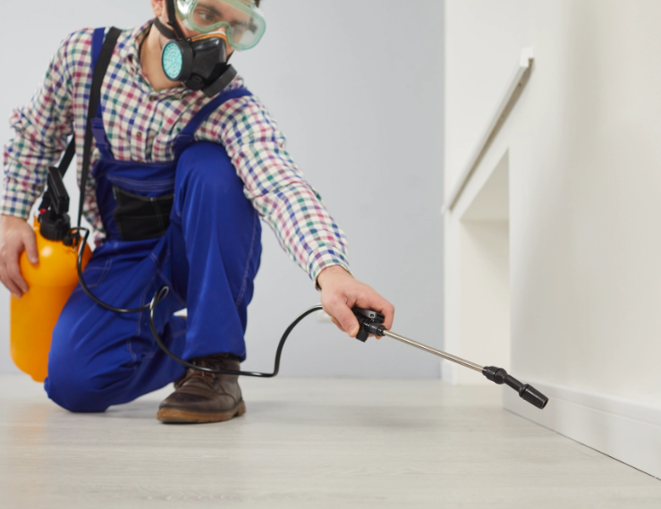 Office pest inspection in Dubai showing technician checking desks and storage areas for pests