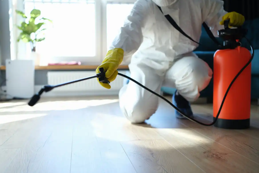 Pest control technician spraying apartment kitchen in Dubai home for cockroach prevention
