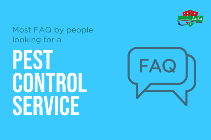 Most Frequently Asked Questions About The Pest Control Service