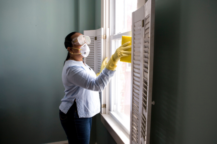 6 Untold Tips To Keep Pest Away From Your Home This Summer.