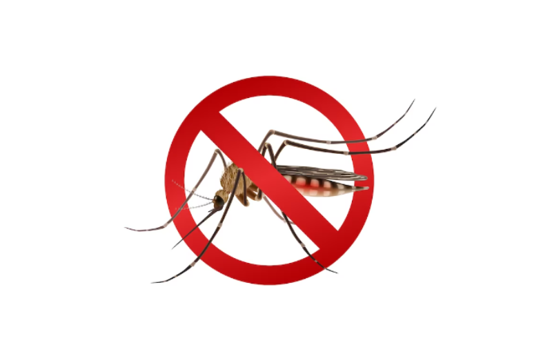 pest prevention dubai