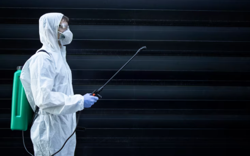pest control dubai
