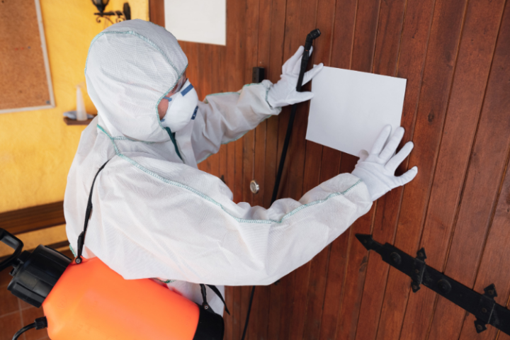 The Importance of Regular Pest Inspections in Dubai’s Hospitality and Food Service Industries