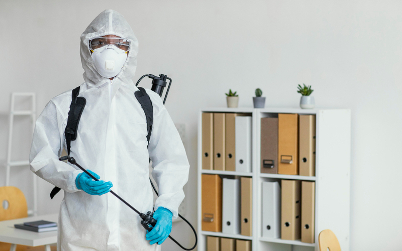 Professional Pest Control Services