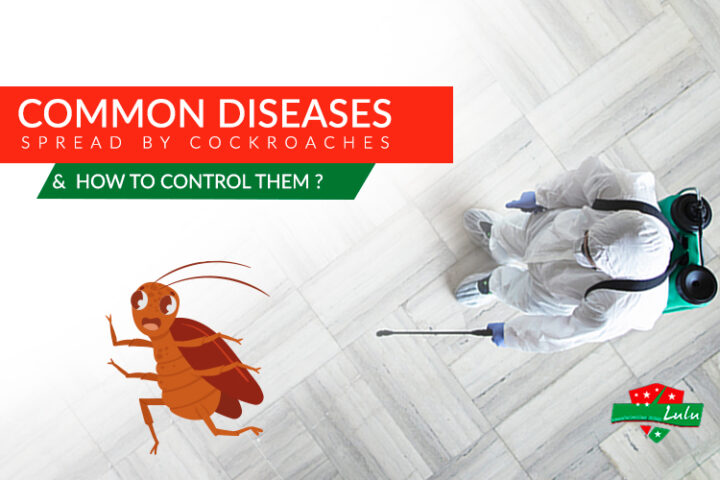 Common Diseases Spread by Cockroaches & How to Control Them?