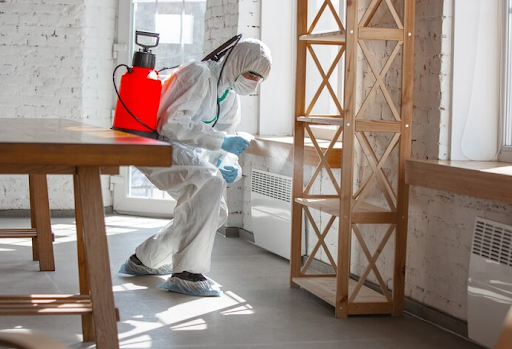 Pest Control Costs and Treatments