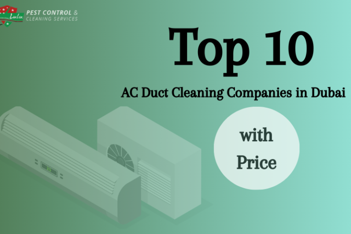 Top 10 AC Duct Cleaning Companies in Dubai with Price