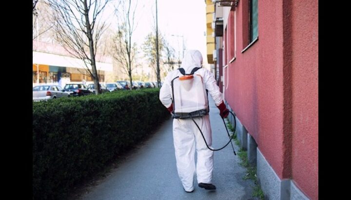 Top 10 Pest Control Companies in the UAE