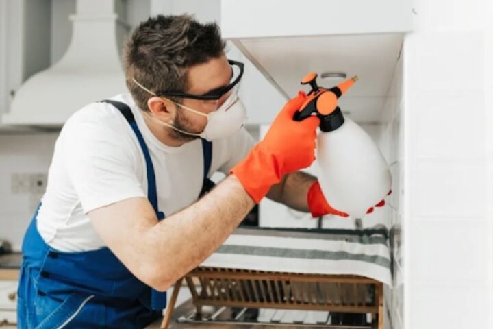 How to Choose a Licensed Pest Control Company in Dubai and Red Flags to Avoid
