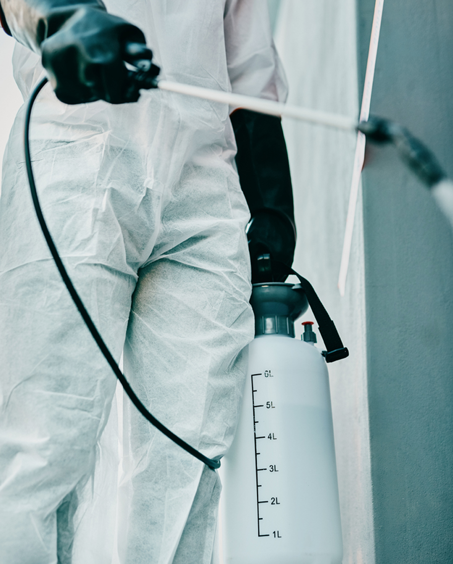 Technician in protective suit spraying a wall with a pressure sprayer