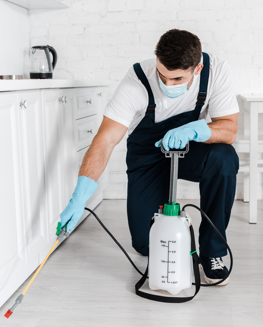 Technician spraying along the base of kitchen cabinets